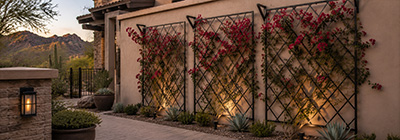 Custom Metal Structures